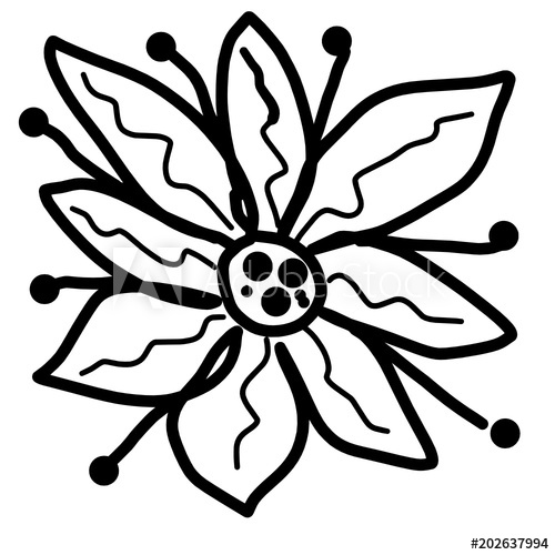 easy contour flower drawings