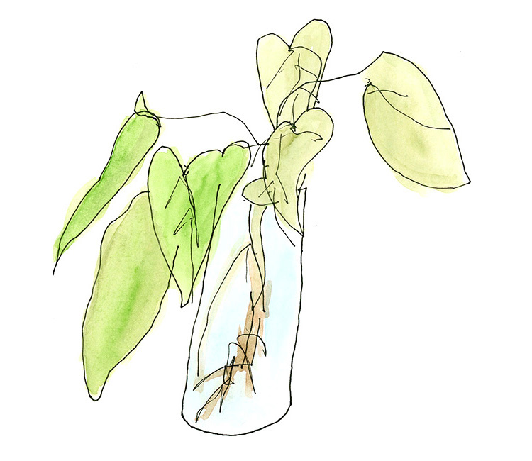 750x650 Drawing Exercise Blind Contour Drawing - Contour Drawing Flower