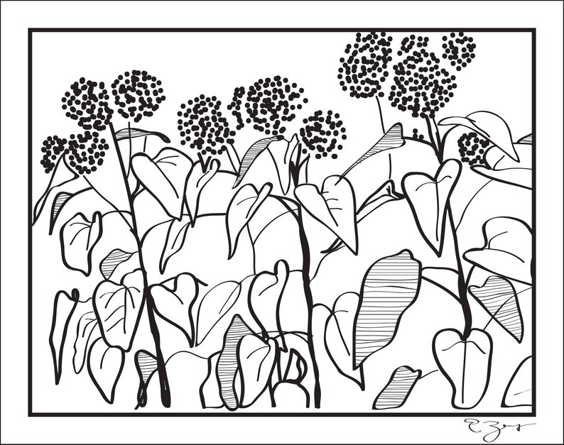 794x627 flower cluster sketch contour drawing art print etsy - Contour Drawing Flower