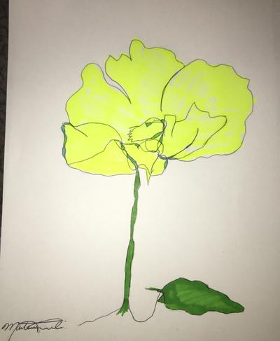 400x487 O'hehir University - Contour Drawing Flower