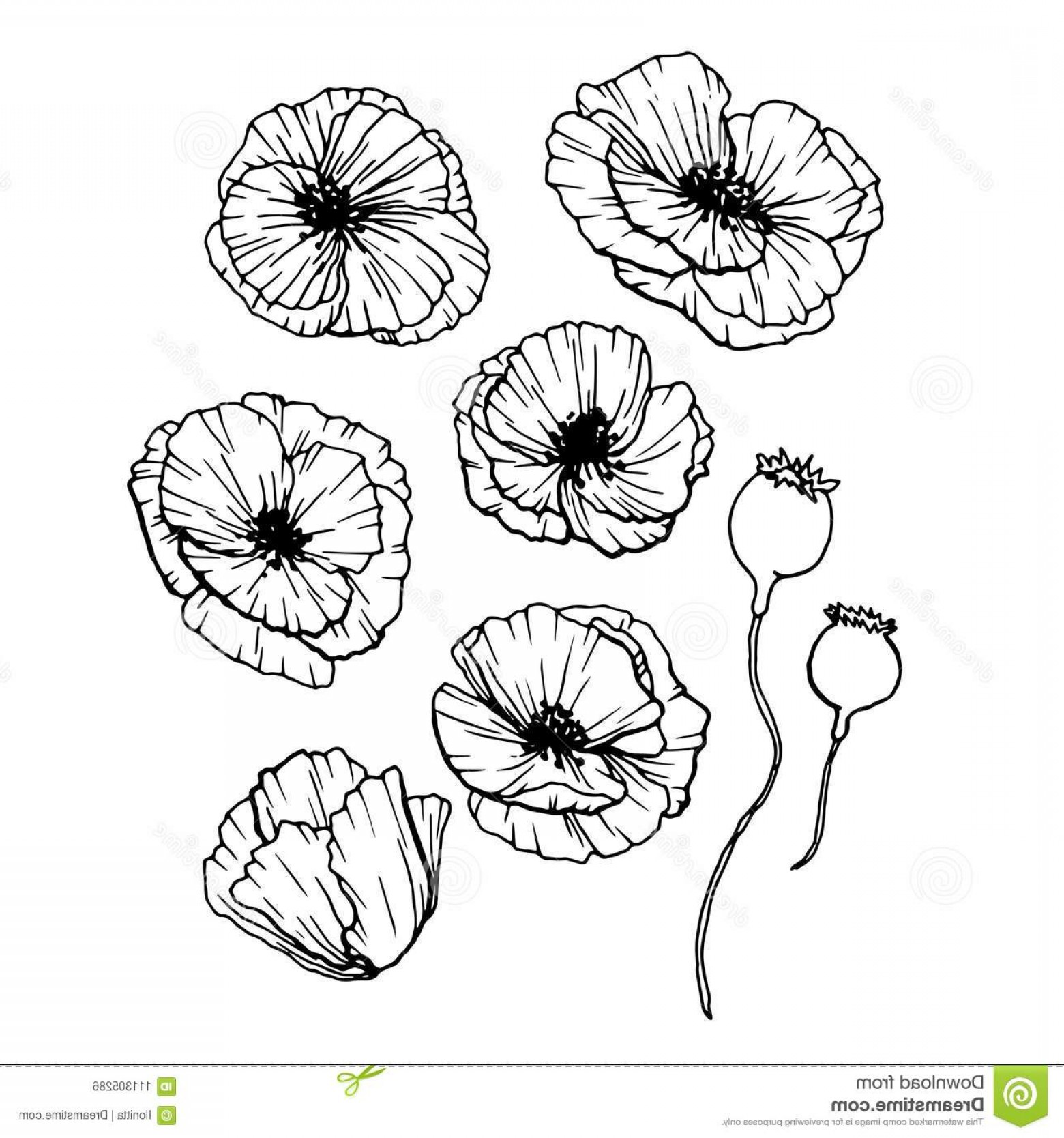 Contour Drawing Flower at PaintingValley.com | Explore collection of ...