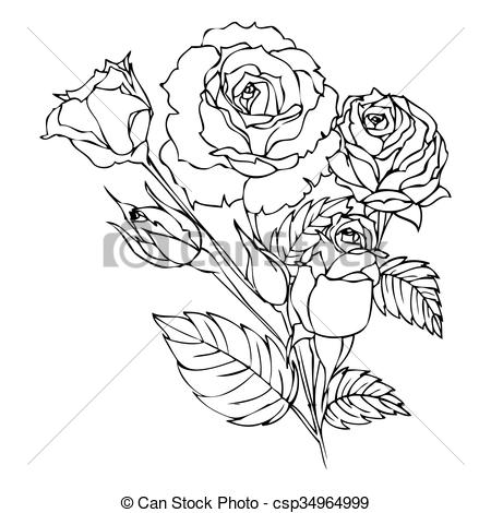 450x470 Roses Contour Drawing Isolated Hand Drawn Outline Roses - Contour Drawing Flower