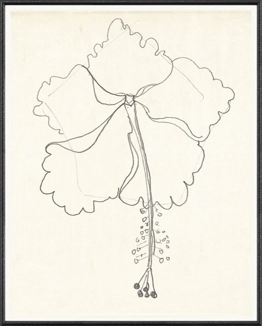 524x650 Simple Contour Line Drawings Of Flowers Contour Drawing Flowers - Contour Drawing Flower
