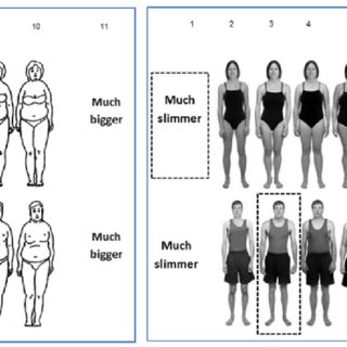320x320 Average Size Of Male And Female Mannequins Mean Mannequin Sizes - Contour Drawing Rating Scale