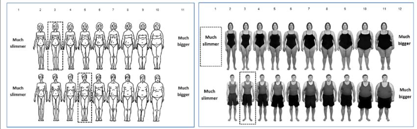 850x263 Average Size Of Male And Female Mannequins Mean Mannequin Sizes - Contour Drawing Rating Scale