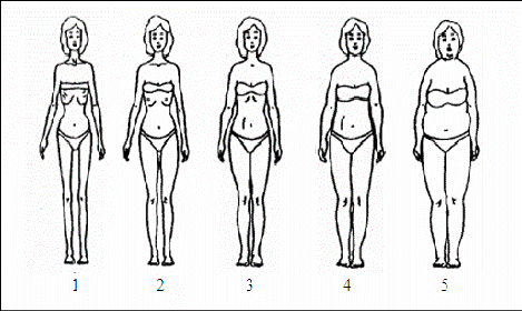 469x280 Modified Contour Drawing Rating Scale Download Scientific Diagram - Contour Drawing Rating Scale