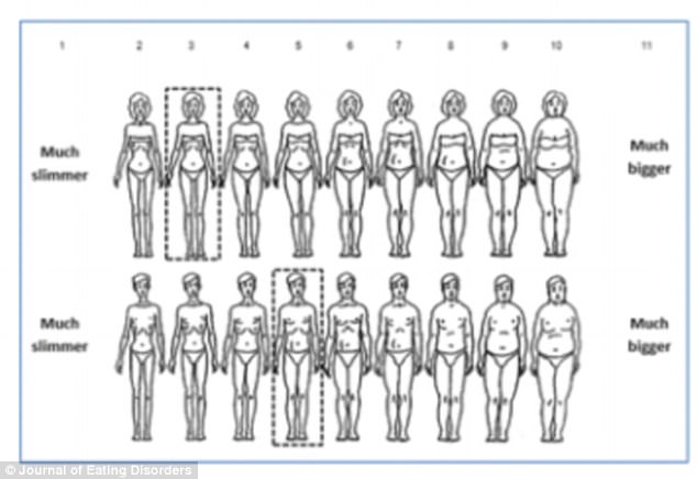 634x436 Average High Street Mannequin Used To Model Female Clothes Is Size - Contour Drawing Rating Scale