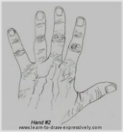 240x258 Contour Line Drawing - Contour Hand Drawing