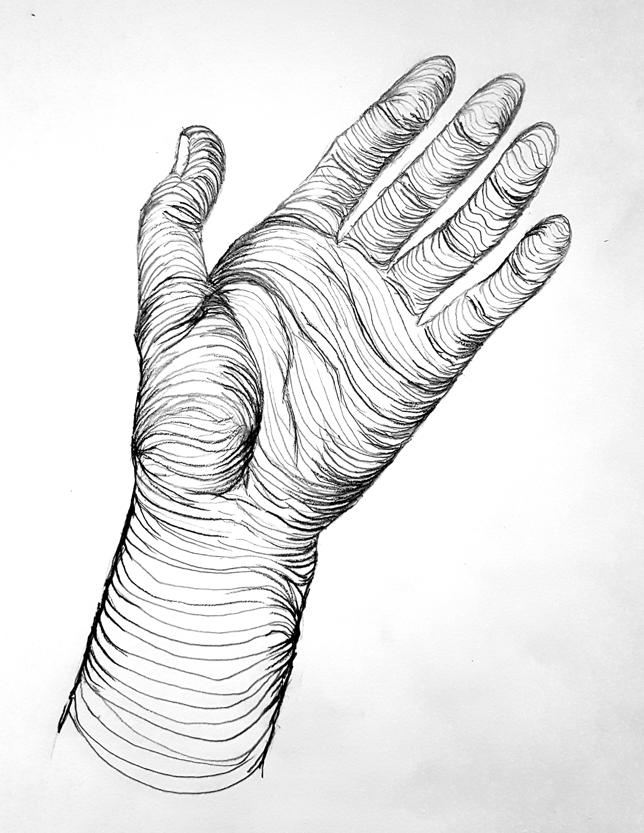 contour lines in art hands