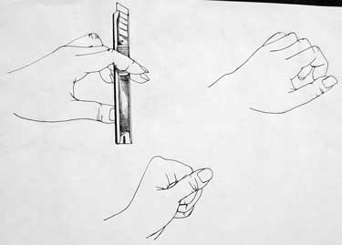 375x269 Art Gallery - Contour Hand Drawing