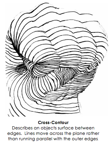 362x485 Contour Line - Contour Line Drawing