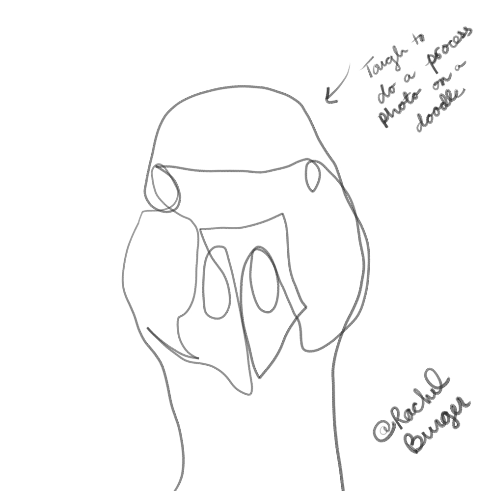 1000x1000 Orcheva Art Contest Doodle Art My Submission A Contour Line - Contour Line Drawing