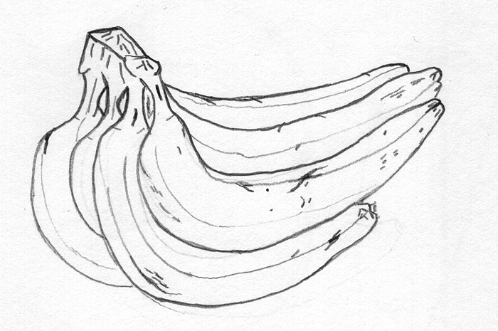 700x465 Sketchbook Example Cross Contour Line Drawing Mr Weisbrod - Contour Line Drawing