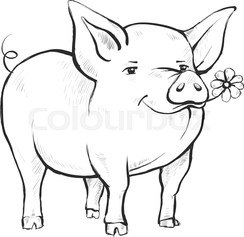 800x779 Contour Line Drawing Coloring For Stock Vector Colourbox - Contour Line Drawing Of A Hand