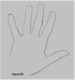245x263 Art I Contour Line Drawing - Contour Line Drawing Of A Hand