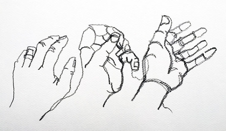 768x446 Continuous Contour Line Sketches Mrs Cox Class - Contour Line Drawing Of A Hand