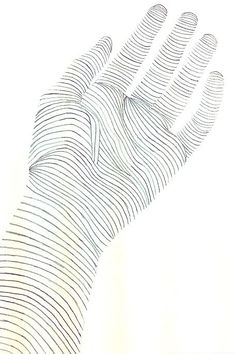 Contour Line Hand Drawing