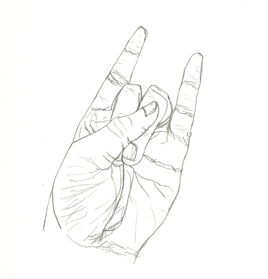 900x936 Contour Line Hand - Contour Line Hand Drawing