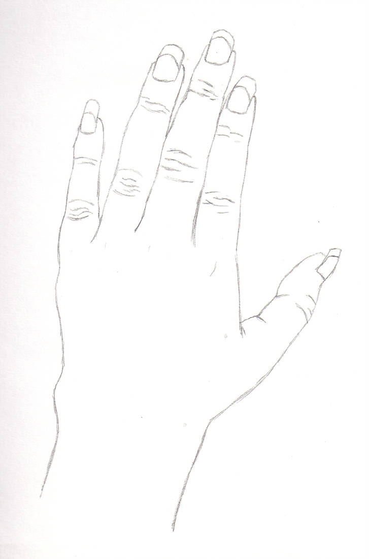 727x1100 Contour Line Hand - Contour Line Hand Drawing