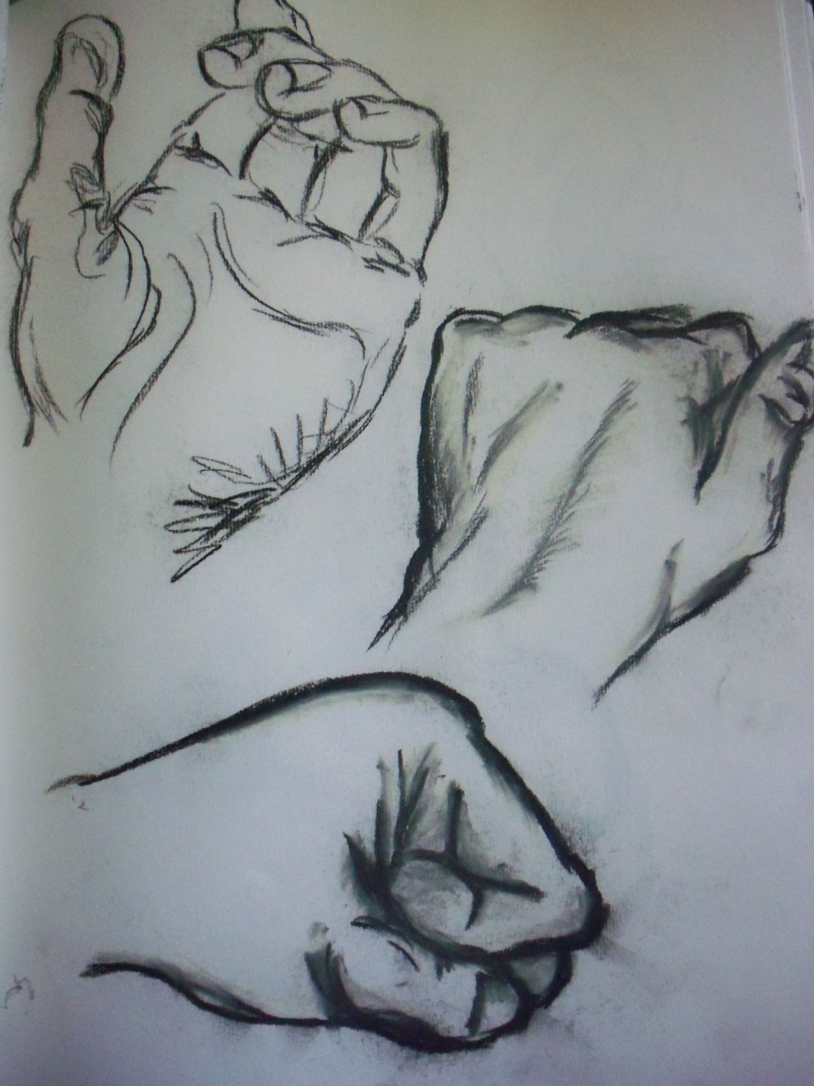 2736x3648 May Hand, Quick Study Show Me The Monet - Contour Line Hand Drawing