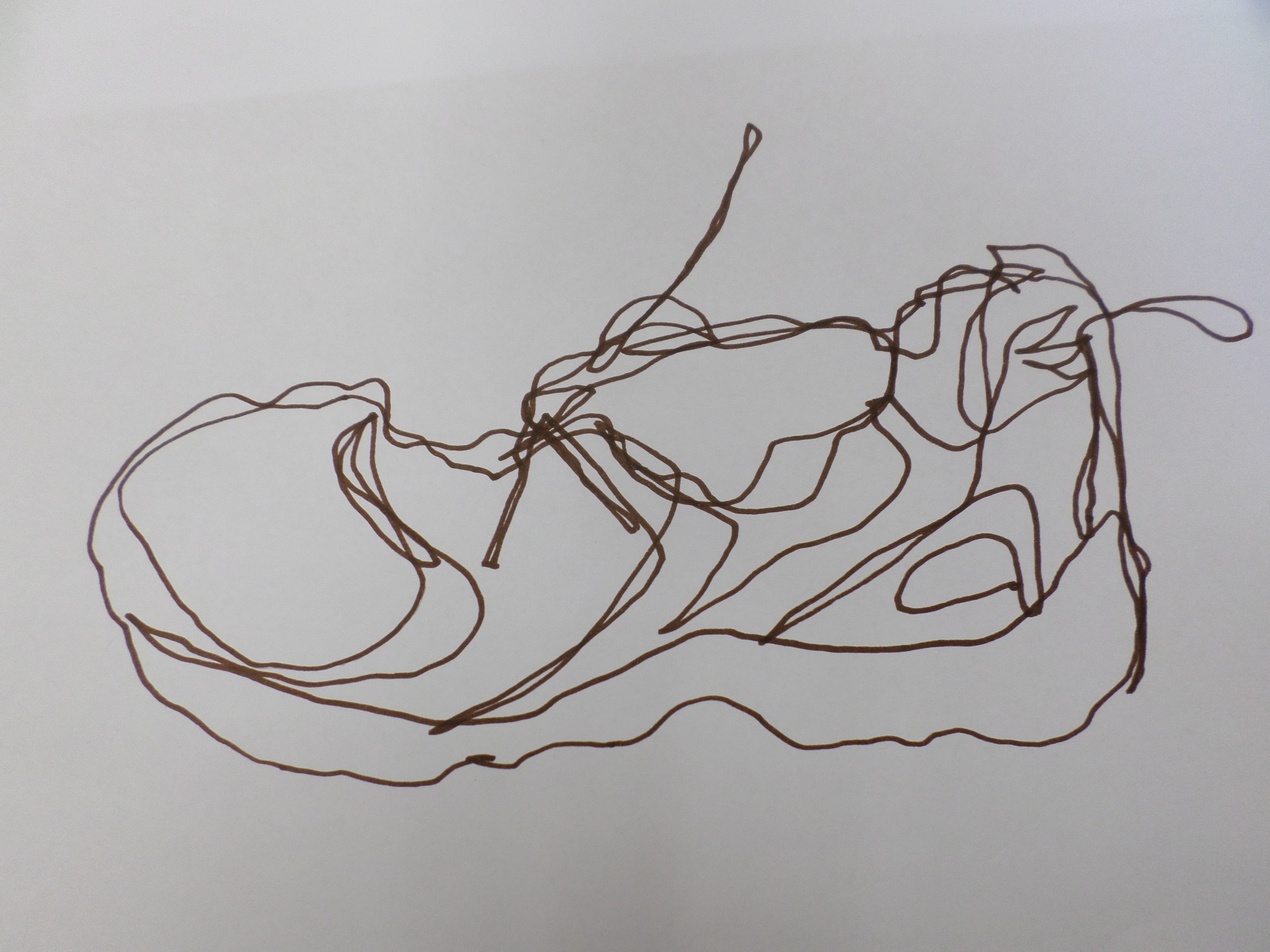 4608x3456 Contour Drawing Artmanews! - Contour Shoe Drawing