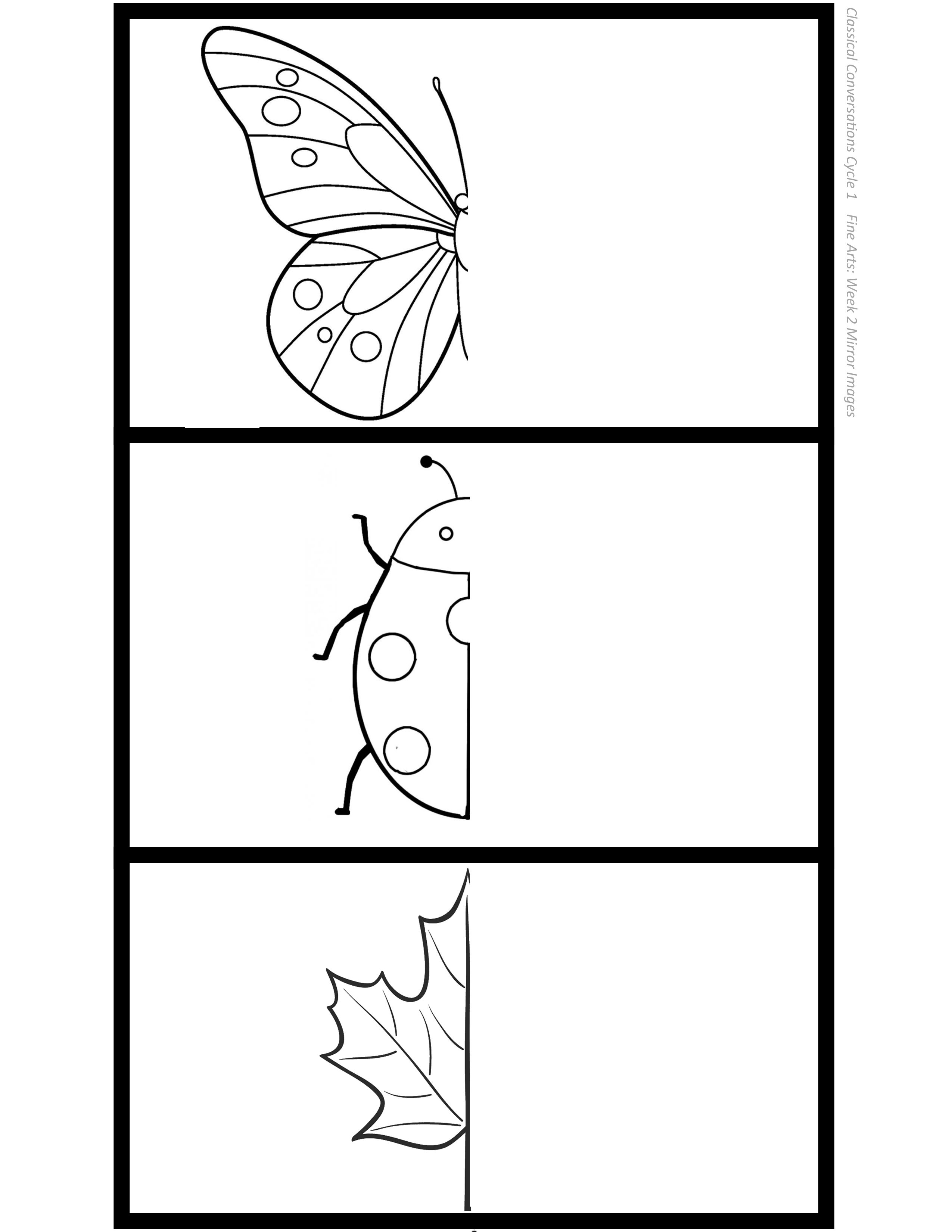 2550x3300 classical conversations cycle week fine arts mirror images - Conversation Drawing