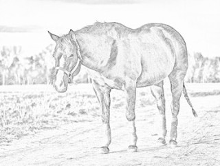 320x241 Convert To Sketch - Convert Image To Drawing