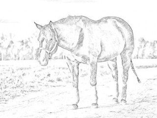 320x241 How To Convert Photo To Line Drawing With Softorbits Software - Convert To Drawing