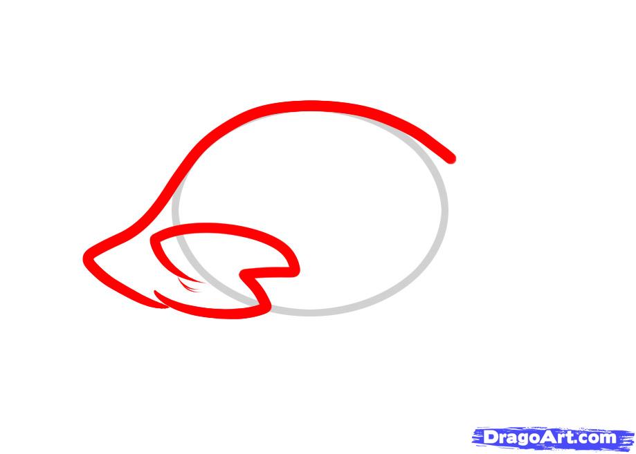 919x657 how to draw a thanksgiving turkey, cooked turkey, step - Cooked Turkey Drawing