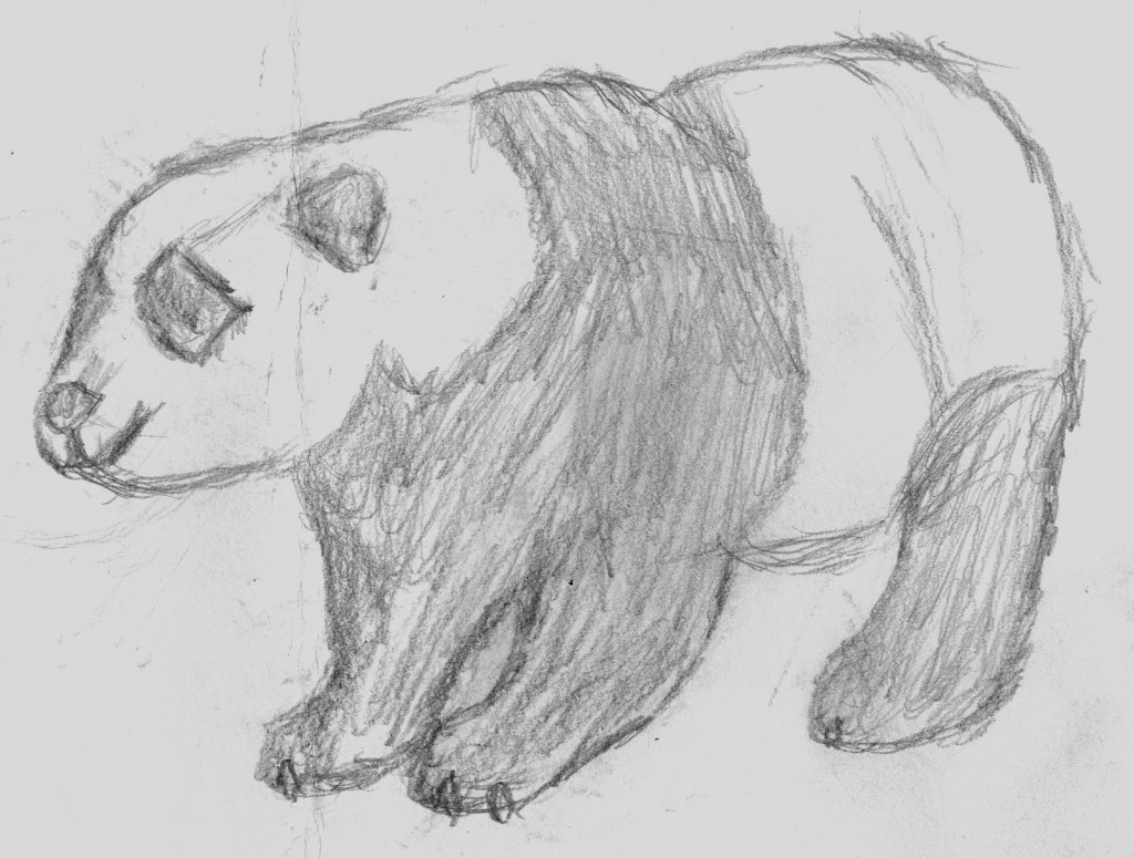 Cool Animal Drawings at Explore collection of Cool