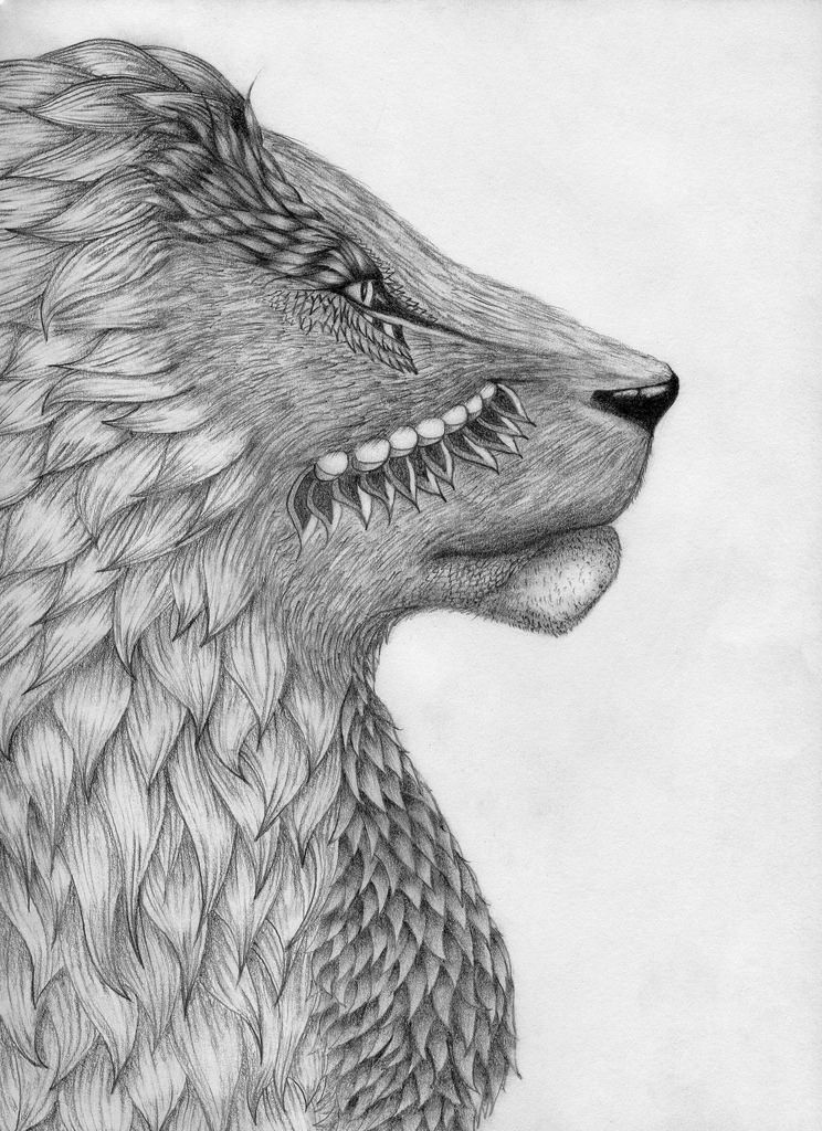 744x1024 Drawings Animals - Cool Animal Drawings