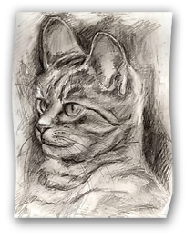 214x263 Cool Artist Original Posters For Sale Online - Cool Art Drawings