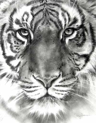 400x514 Patty Storms Pencil Drawings Black And White - Cool Black And White Drawings