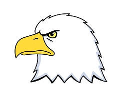 250x193 How To Draw A Bald Eagle Head - Cool Cartoon Drawings