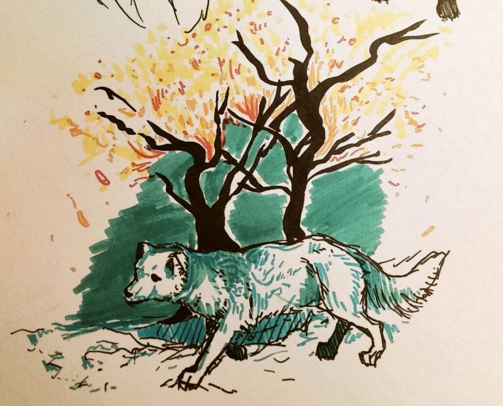 1024x826 Warm And Cool Colors Amino - Cool Colors Drawing