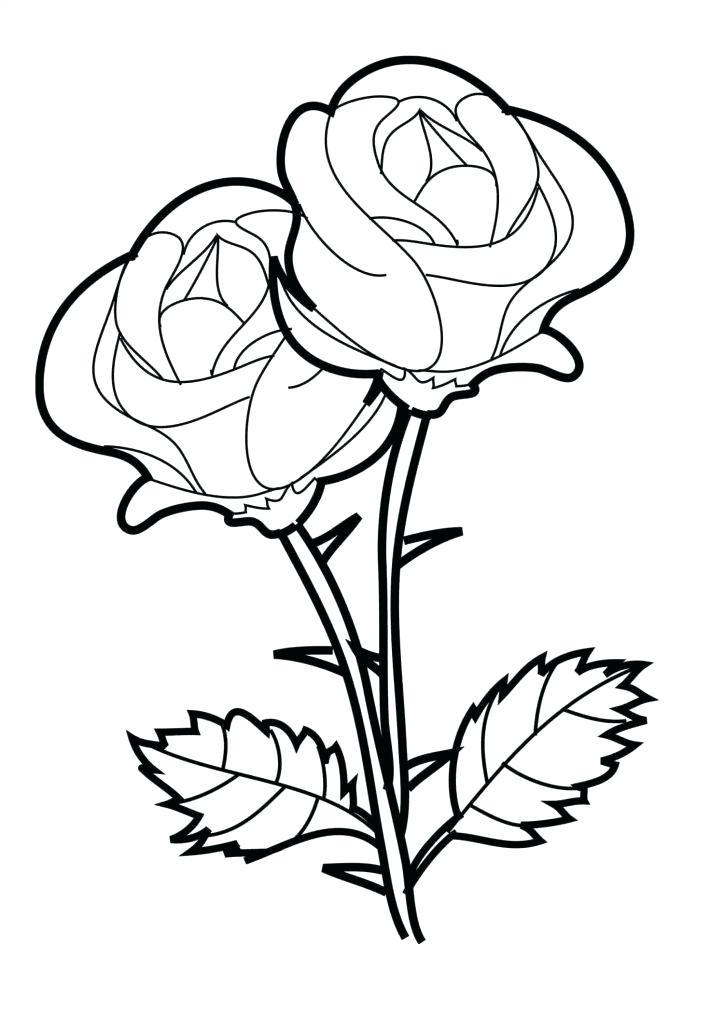 724x1024 Beautiful Flowers Design Drawing - Cool Designs For Drawing