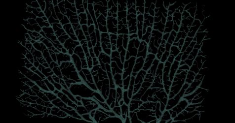 476x250 Cool Simple Dragon Drawings Best Drawing Apps Easy Line Pencil - Cool Dragon Drawings