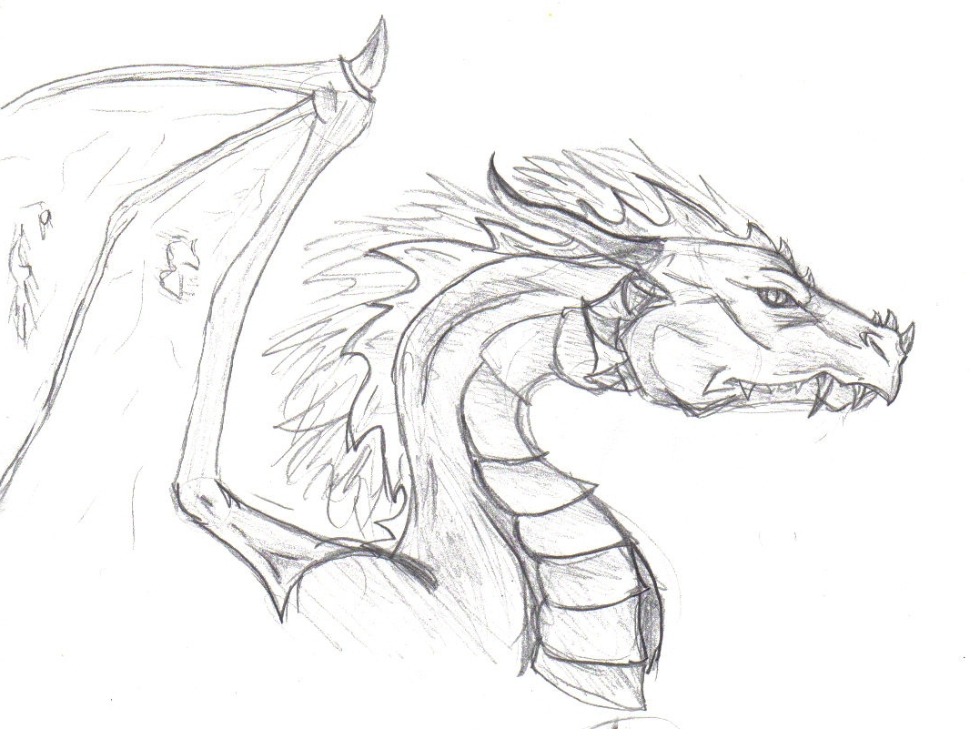 1077x801 Cool Sketches Of Dragons Best Drawings Of Dragons Cool Dragon - Cool Dragon Drawings