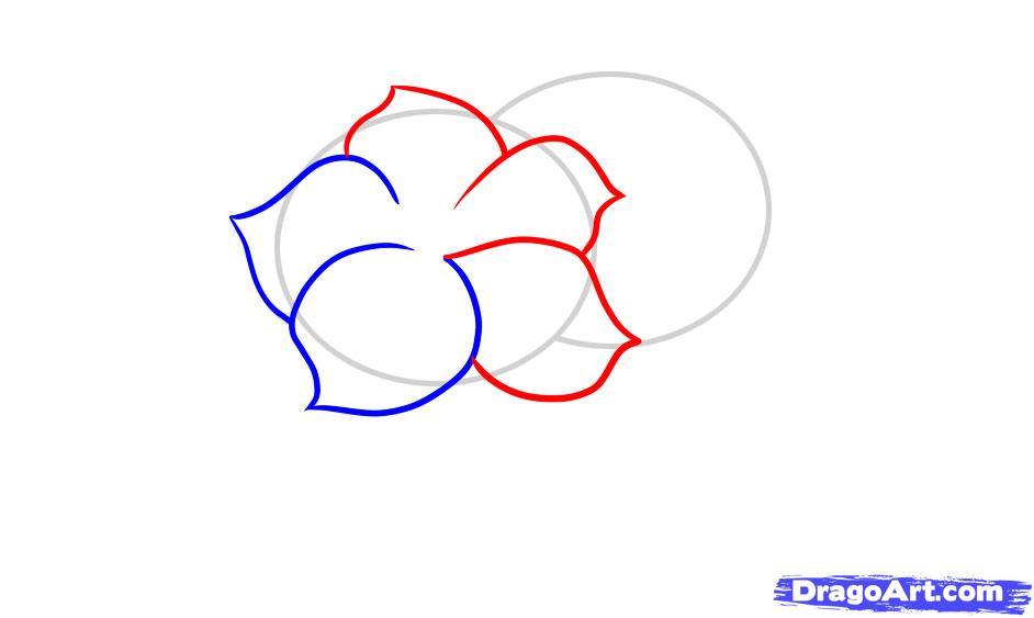 942x563 Step Draw Flower Designs - Cool Drawing Designs Step By Step