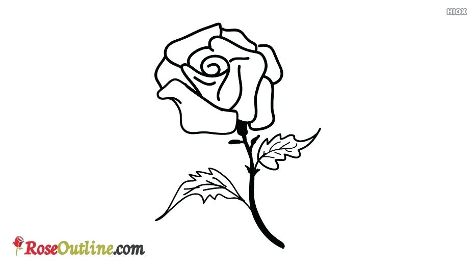 934x534 Free Rose Outline Pictures Rose Outline With Stem Small Rose - Cool Drawing Outlines