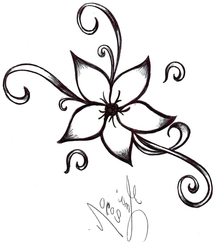 736x830 Drawn Flower Tumblr Easy And Beautiful Drawing Designs With Easy - Cool Easy Drawing Designs