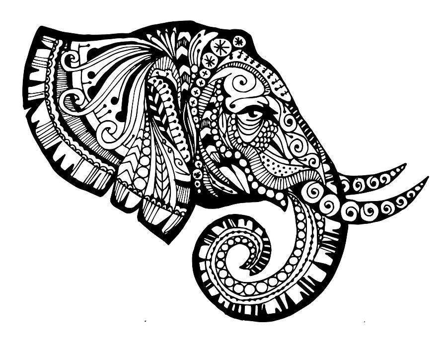 900x695 Elegant Elephant Drawing - Cool Elephant Drawings