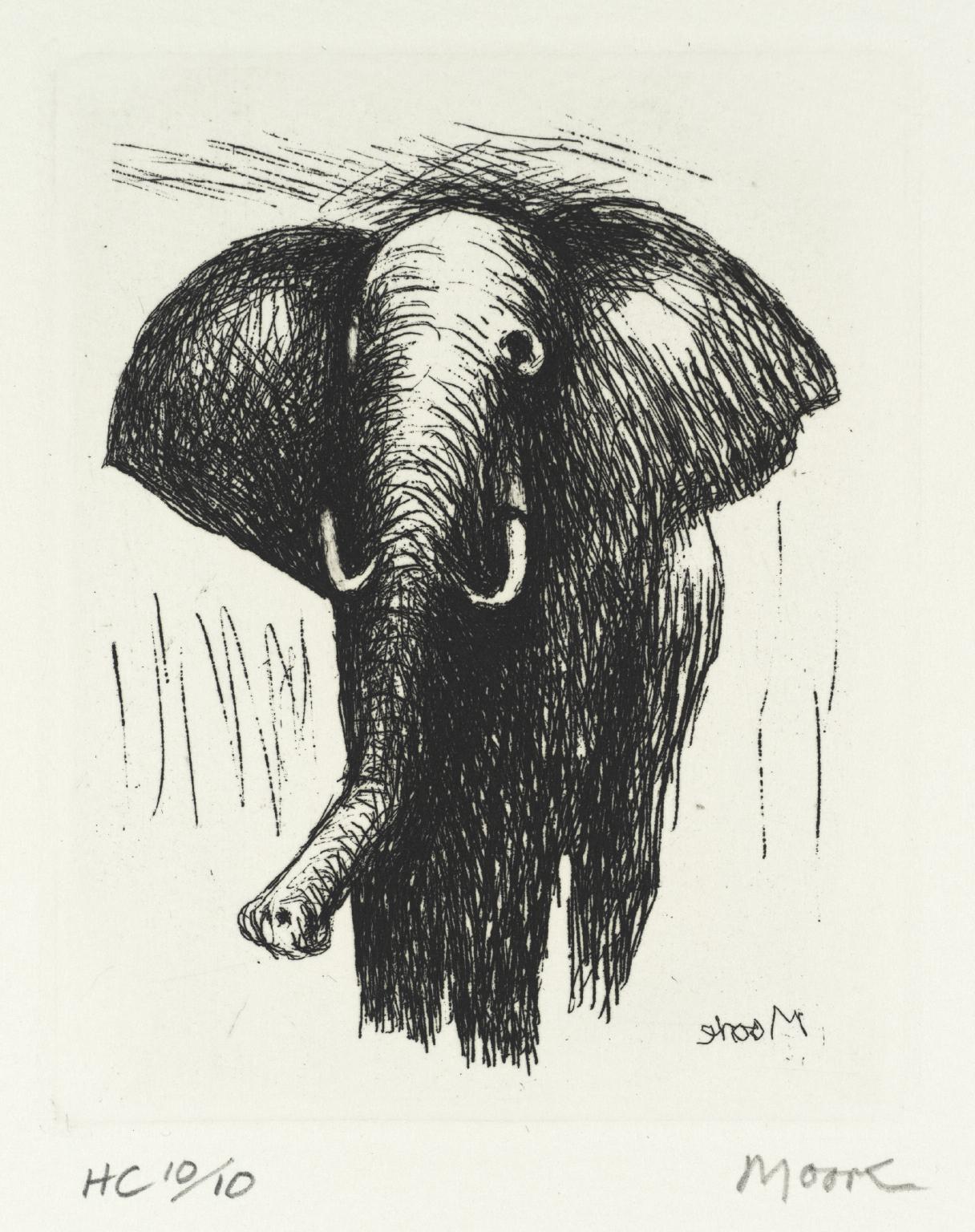 Cool Elephant Drawings at PaintingValley.com | Explore collection of ...