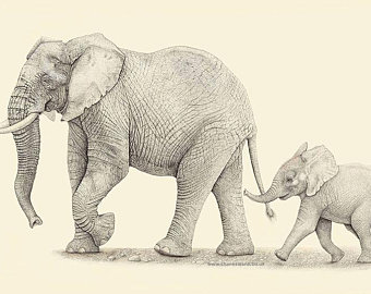 340x270 Elephant Drawing Etsy - Cool Elephant Drawings