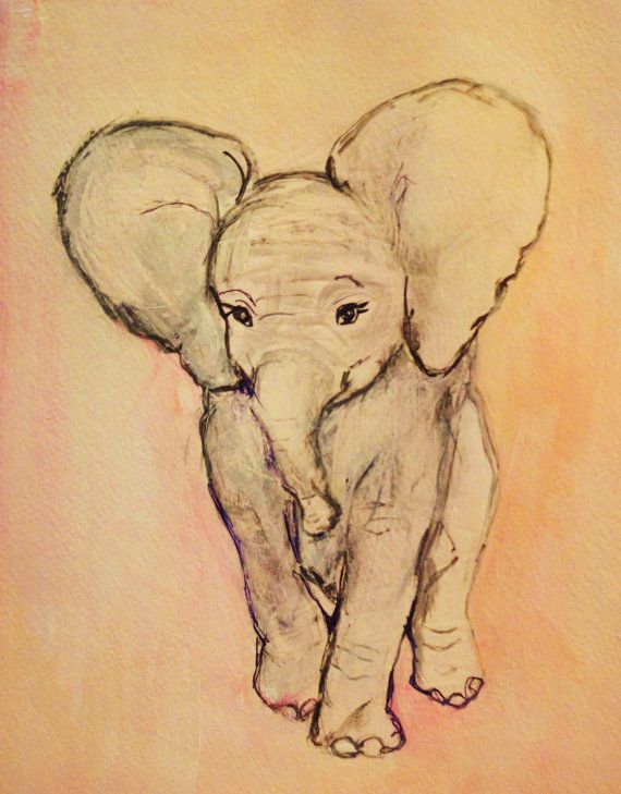 570x729 Elephant - Cool Elephant Drawings