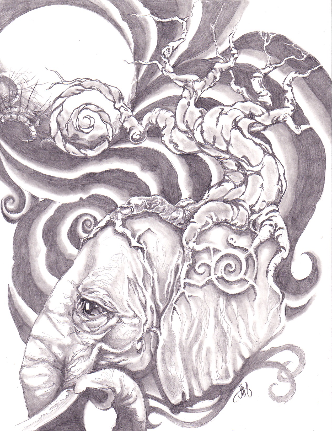 1266x1644 Sketch Of An Elephant Drawing Pics - Cool Elephant Drawings