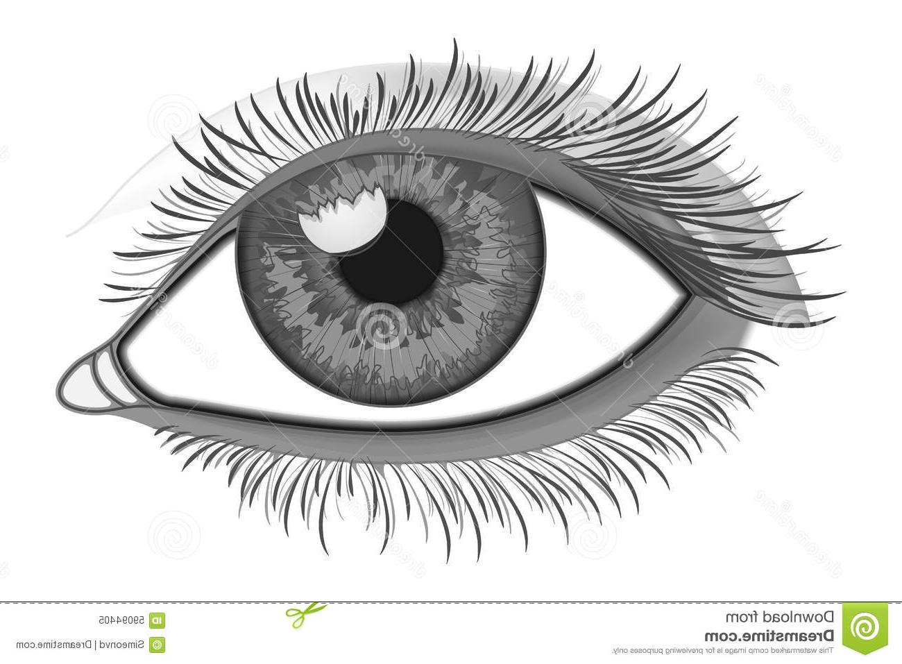 1300x957 Best Cool Eye Drawings Vector Library Free Vector Art, Images - Cool Eye Drawings