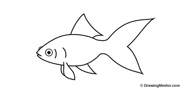 600x300 Cool Things To Draw - Cool Fish Drawings