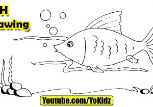 300x210 Drawing Of Fish Easy Fish To Draw Cool Fish - Cool Fish Drawings