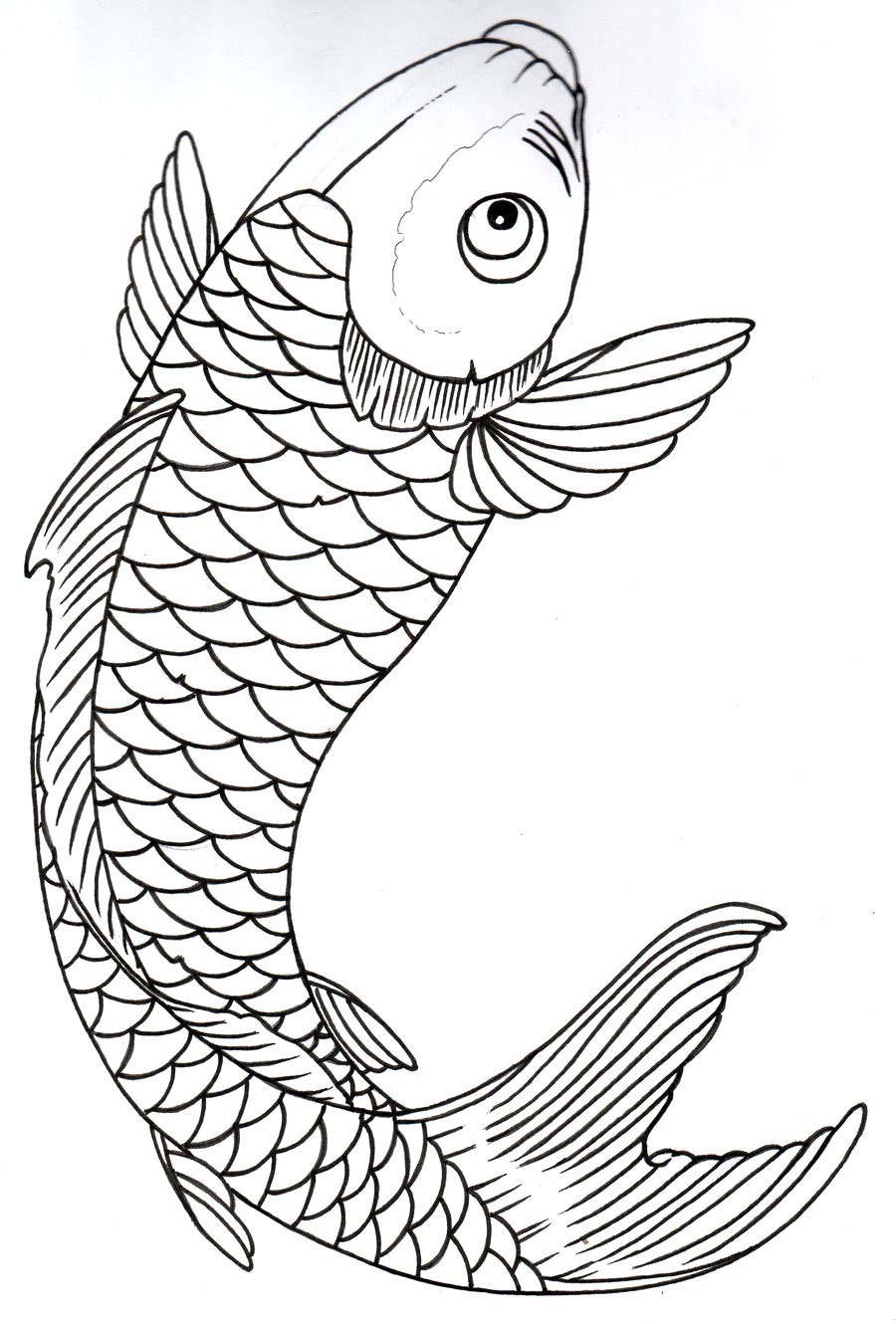 Cool Fish Drawings at Explore collection of Cool